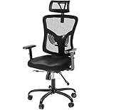 NOBLEWELL Ergonomic Office Chair High Back Mesh Computer...