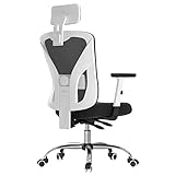 Hbada Ergonomic Office Desk Chair with Adjustable Armrest,...