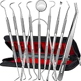 Dental Tools, 10 Pack Professional Plaque Remover Teeth...