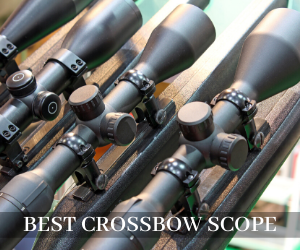 Best Crossbow Scopes
