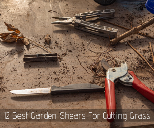 12 Best Garden Shears For Cutting Grass 2020 Reviews