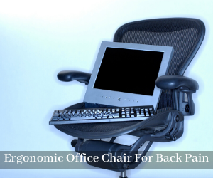Ergonomic Office Chair For Back Pain