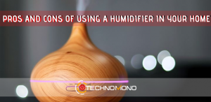 Pros and cons of using a humidifier