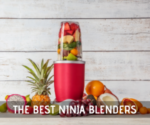 The 12 Best Ninja Blenders in 2021 – Reviews & Buyer’s Guide 1 The Best Ninjab Blender 1