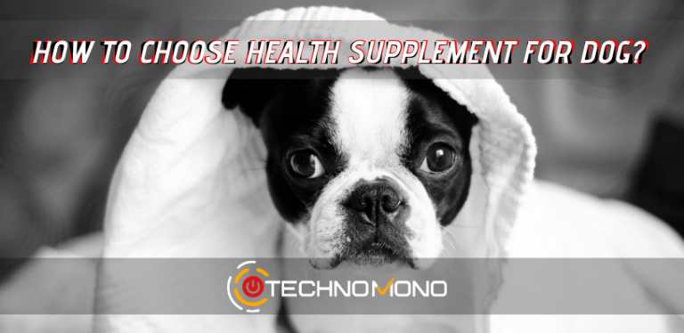 how to choose health supplements for dogs