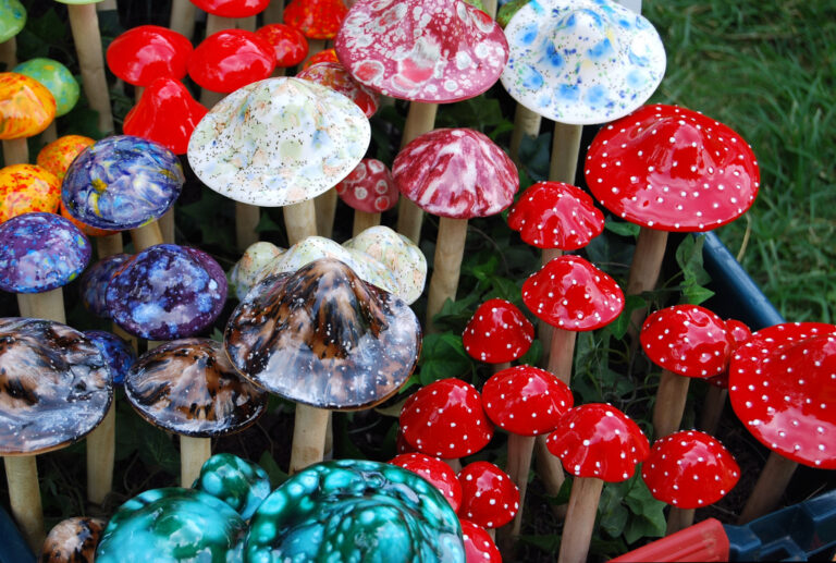 ultimate guide to finding a trusted magic mushroom dispensary